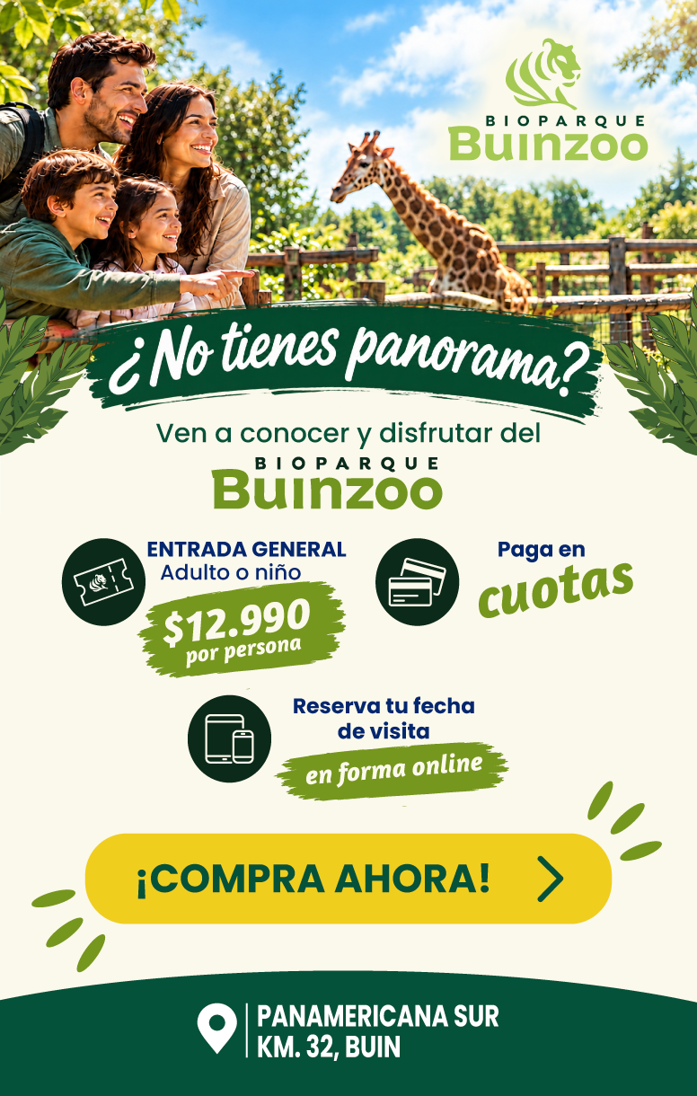 zoo